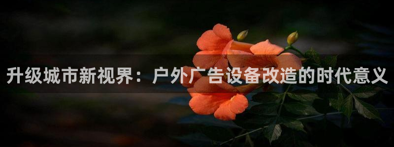 杏宇平台代理怎么样可靠吗