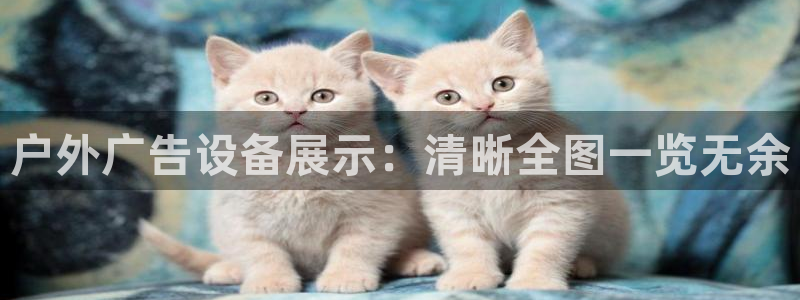 杏宇平台提现为什么这么久呢