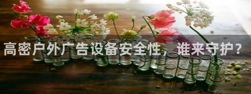 杏宇平台怎么样赚钱