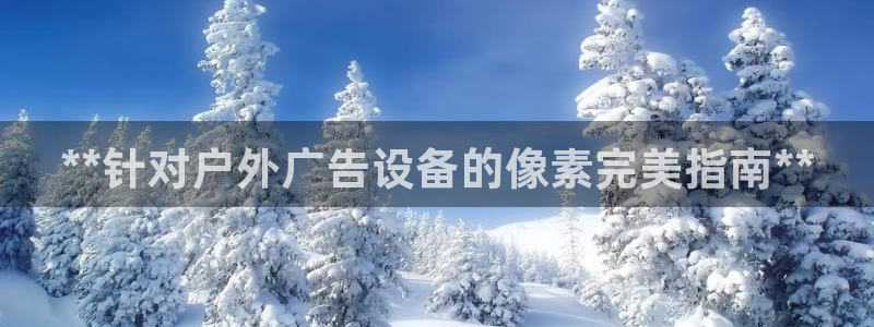 杏宇平台登录步骤图