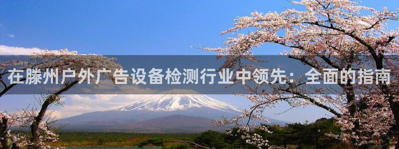 杏宇平台注册地址：在滕州户外广告设备检测行业中领先：全面的指南