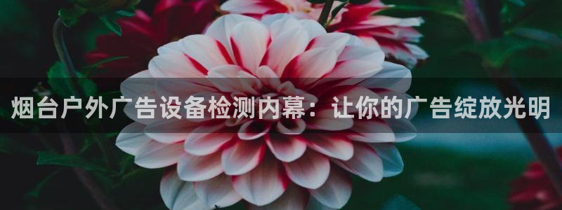 杏宇平台总代理电话