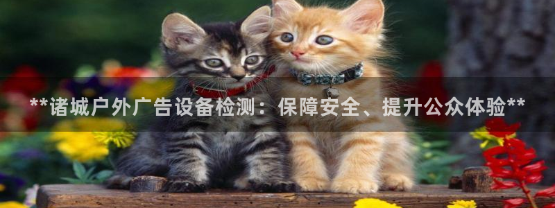 杏宇平台招商怎么样：**诸城户外广告设备检测：保障安全、提升公众体验**