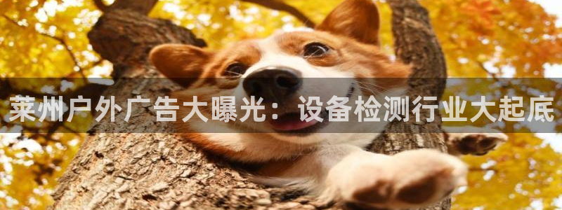 杏宇平台总代理