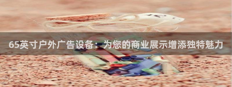 杏宇平台代理怎么样可靠吗：65英寸户外广告设备：为您的商业展示增添独特魅力