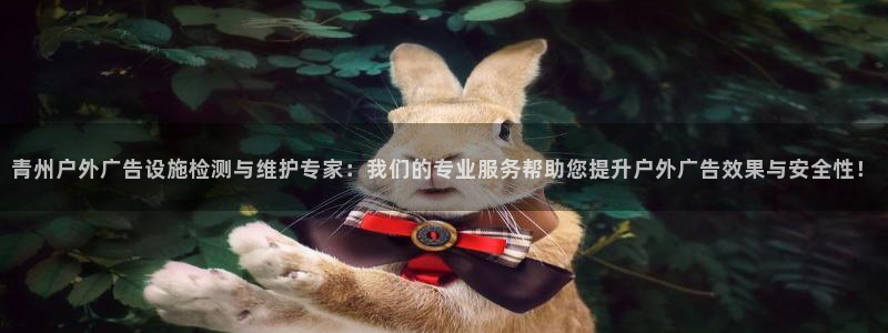 杏宇平台招商电话号码