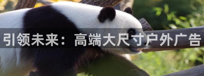杏宇平台登录步骤：引领未来：高端大尺寸户外广告