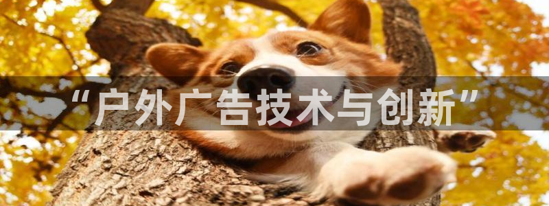 杏宇平台代理多少钱一个：“户外广告技术与