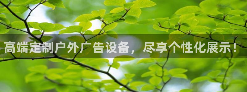 杏宇平台官网注册：高端定制户外广告设备，尽享个性化展示！