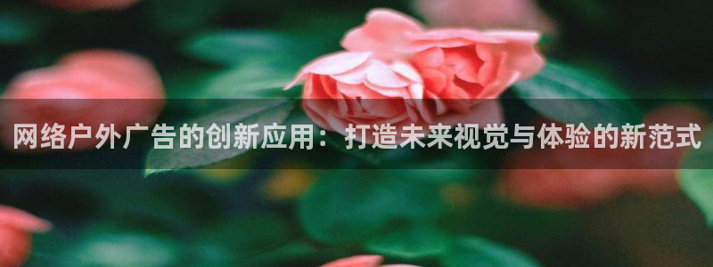 杏宇平台客服：网络户外广告的创新应用：打造未来视觉与体验的新范式