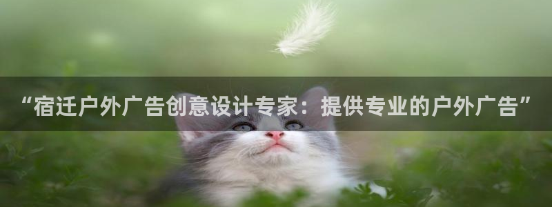 杏宇平台主管：“宿迁户外广告创意设计专家