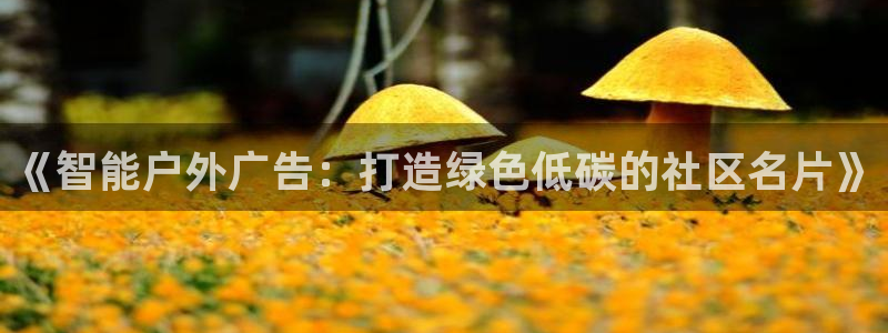 杏宇平台代理