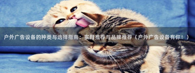 杏宇官方平台官网下载