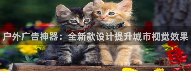 杏宇平台代理多少钱一个