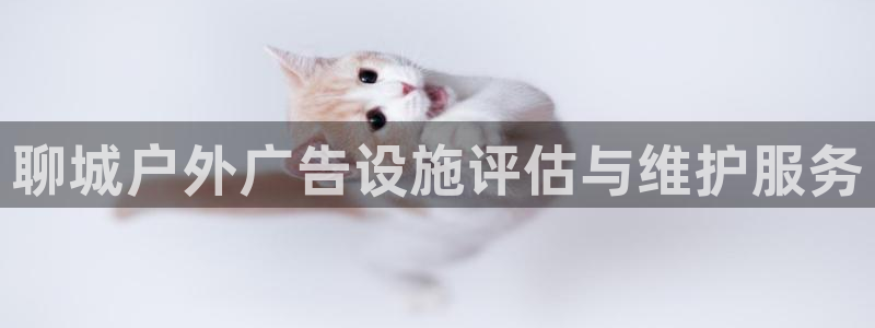 杏宇平台主管：聊城户外广告设施评估与维护服务