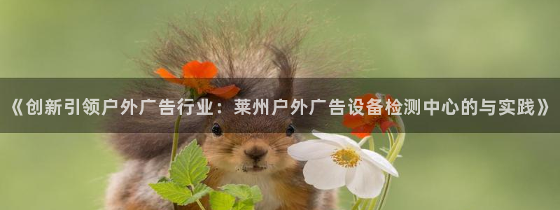 杏宇平台招商怎么样：《创新引领户外广告行业：莱州户外广告设备检测中心的与实践》