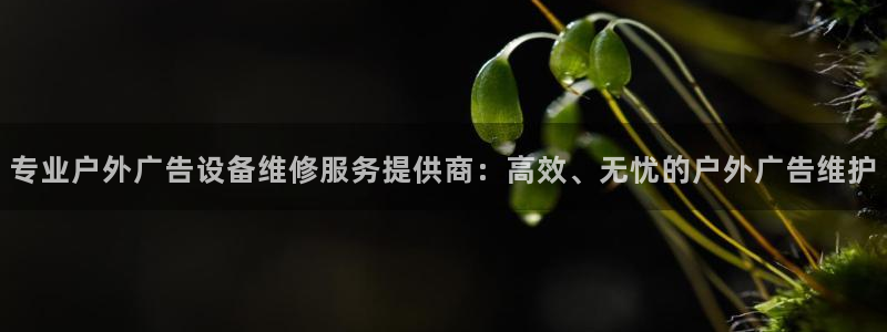 杏宇平台登录步骤是什么：专业户外广告设备维修服务提供商：高效、无忧的户外广告维护