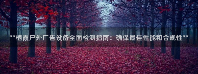 杏宇代理注册：**栖霞户外广告设备全面检测指南：确保最佳性能和合规性**