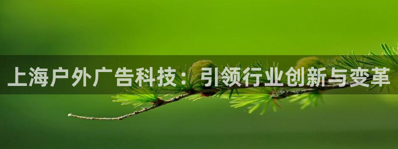 杏宇平台测速链接：上海户外广告科技：引领行业创新与变革