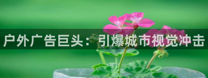 杏宇平台怎么样