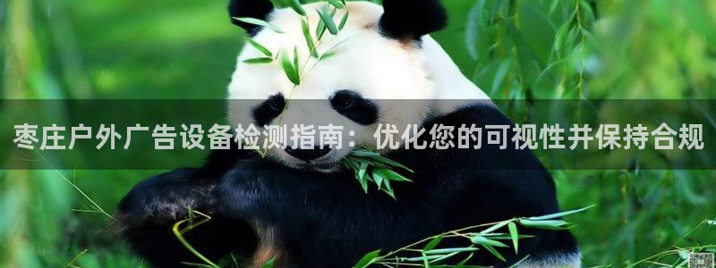 杏宇平台登录步骤图：枣庄户外广告设备检测