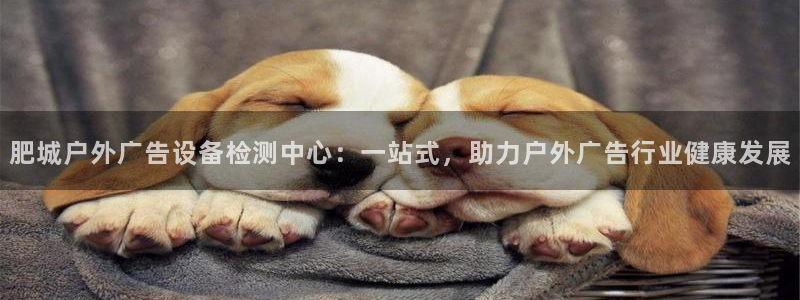 杏宇官方平台官网：肥城户外广告设备检测中