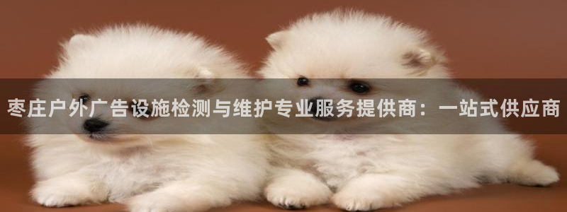 杏宇平台主管：枣庄户外广告设施检测与维护