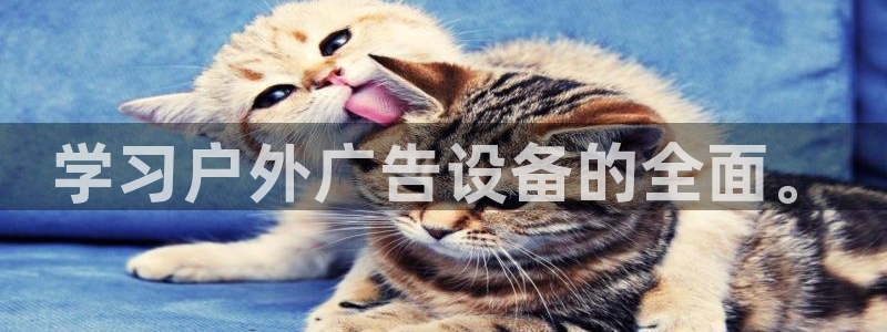 杏宇平台注册地址在哪里：学习户外广告设备