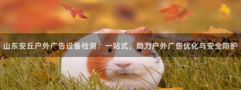 杏宇平台官网注册：山东安丘户外广告设备检