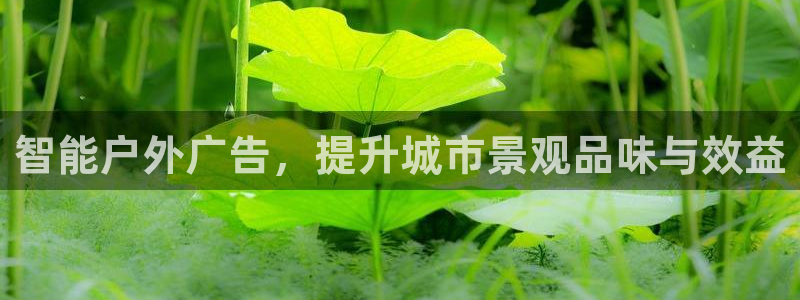 杏宇平台招商：智能户外广告，提升城市景观