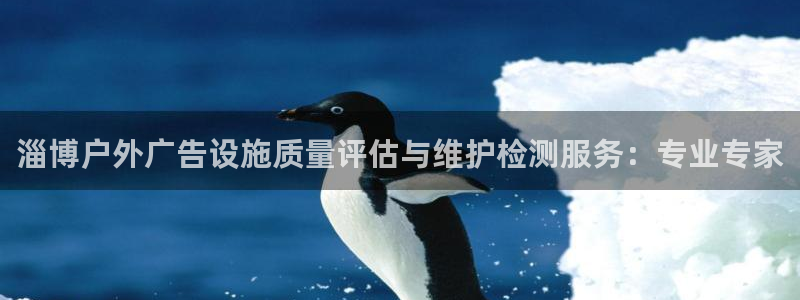 杏宇平台代理怎么赚钱：淄博户外广告设施质量评估与维护检测服务：专业专家